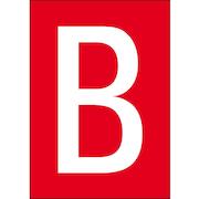 brady_911134