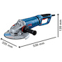 bosch_06018c7101_3