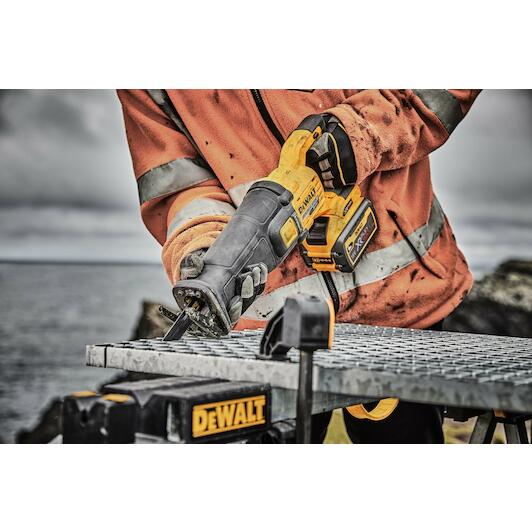 dewalt_dcs389x2_qw