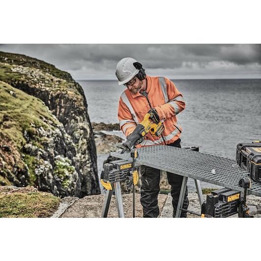 dewalt_dcs389x2_qw