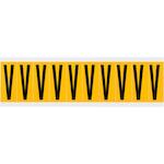 brady_015371