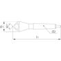 phantom_425105003_2