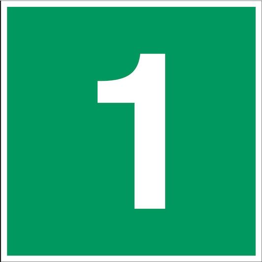 brady_252449