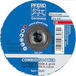 pferd_42759141_2