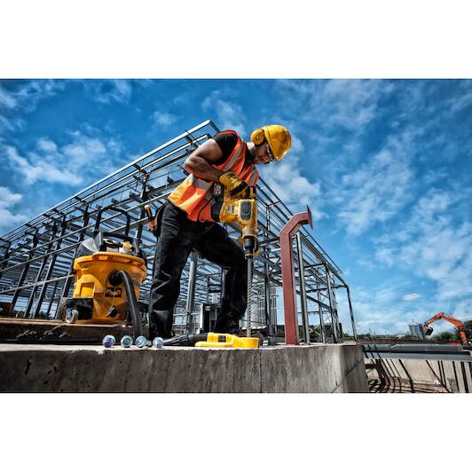 dewalt_dt60818_qz