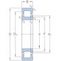 skf_nup219ecp_2