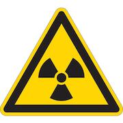brady_223479
