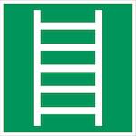 brady_803858