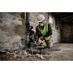 dewalt_dcs389nt_xj