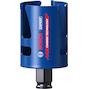 bosch_2608900464