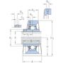 skf_ucp207h_2
