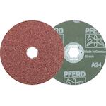 pferd_64190102