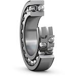 skf_2306