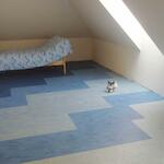 hg_150100103_4