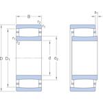 skf_c2220_2