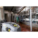 karcher_10719380