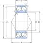 skf_3309ac3w64_2