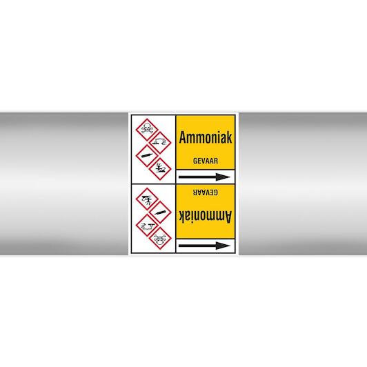 brady_n004095