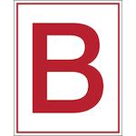 brady_250523