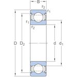 skf_6003_2zva208_2