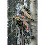 dewalt_dcmcst635n_xj