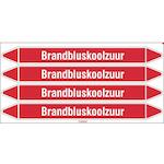 brady_n003989