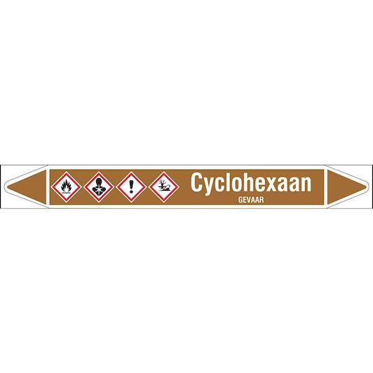 brady_n005044
