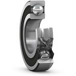 skf_6007_2rs1