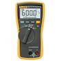 fluke_3088053