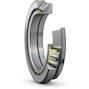 skf_29248