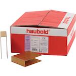 haubold_503614