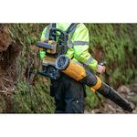 dewalt_dcmbbl800n_xj_4