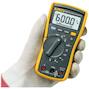 fluke_2583583_4