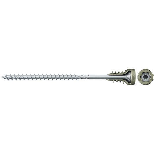 fischer_558881
