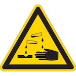 brady_255206