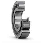 skf_nup309ecj