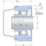 skf_p2bc20m_tpss_2