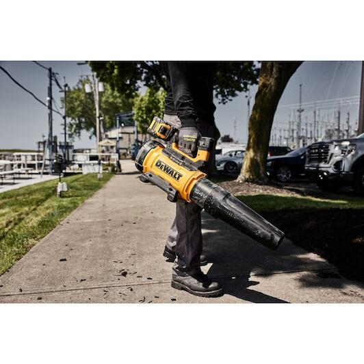 dewalt_dcmbl777x1_qw