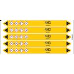 brady_n004421