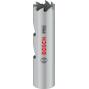 bosch_2608901491