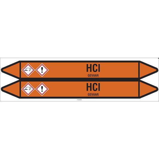 brady_n006500