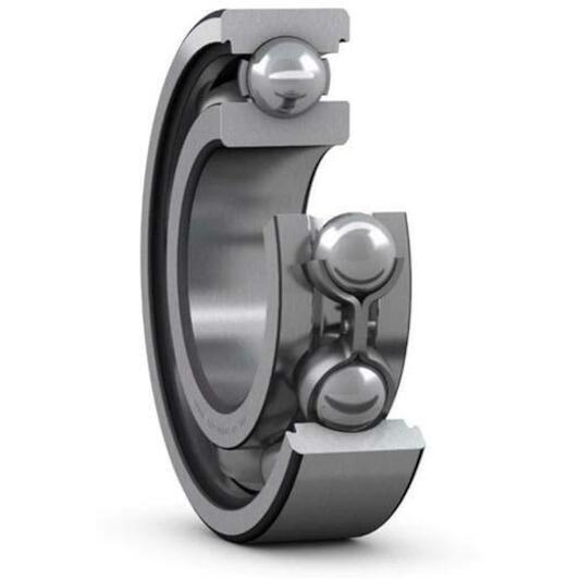 skf_6018c4