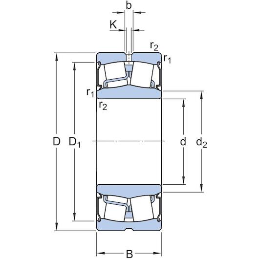 skf_bs2_2313_2rsvt143_2