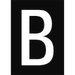 brady_911485