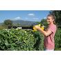 karcher_14442410_7