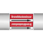 brady_267796