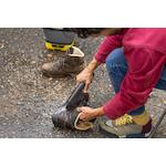 karcher_26444230_4