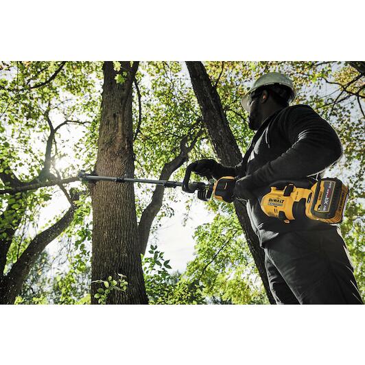dewalt_dcmasps5n_xj