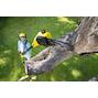 karcher_14440100