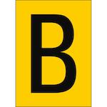 brady_911524